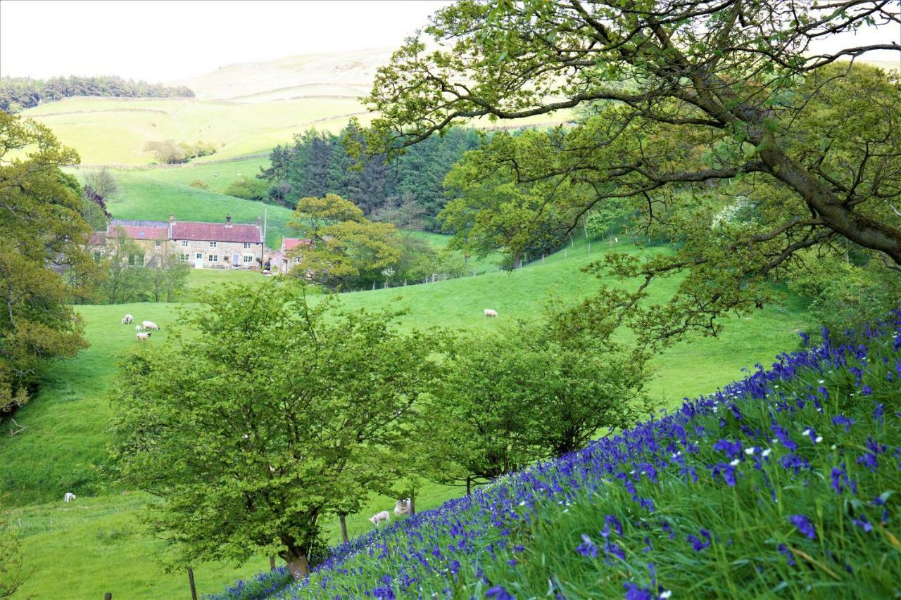 Bluebells Cottage Chop Gate Экстерьер фото