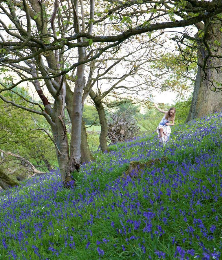 Bluebells Cottage Chop Gate Экстерьер фото